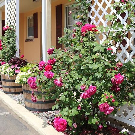The Bay Willows Inn มิดเดิลทาวน์ ภายนอก รูปภาพ