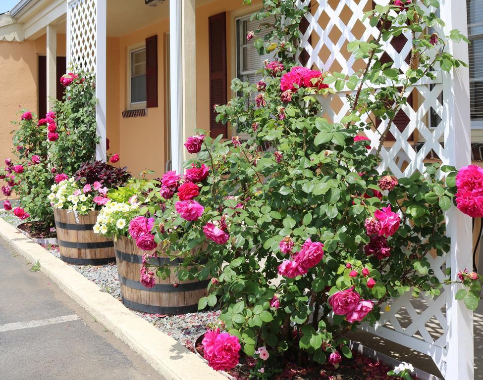The Bay Willows Inn มิดเดิลทาวน์ ภายนอก รูปภาพ